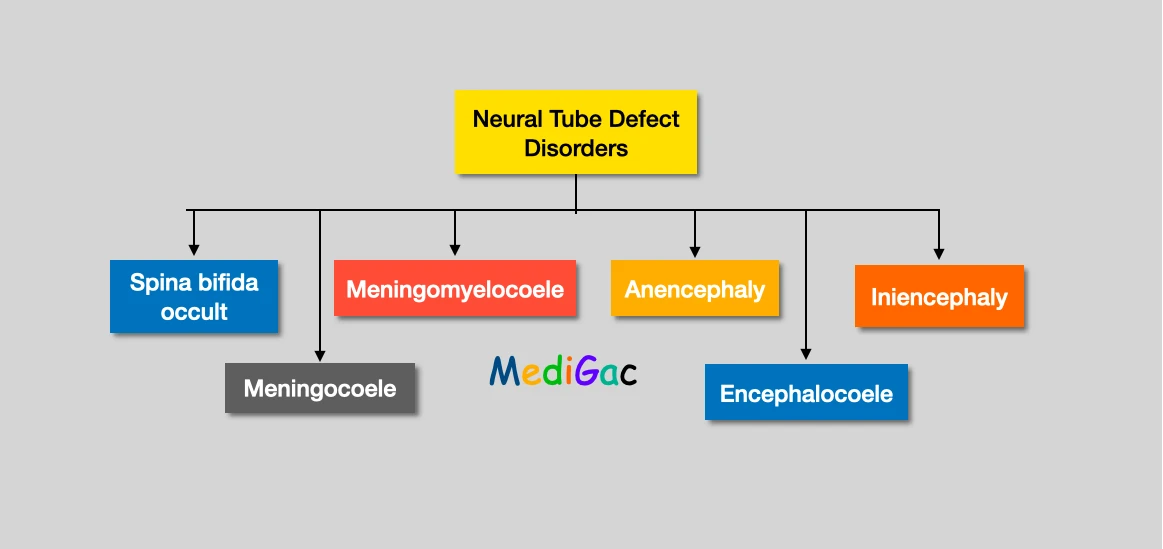 Neural tube defect disorders